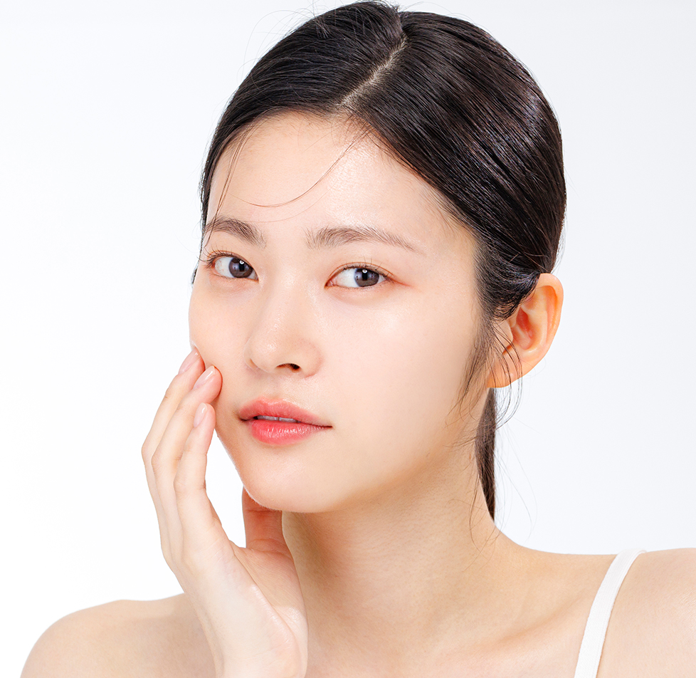 모델