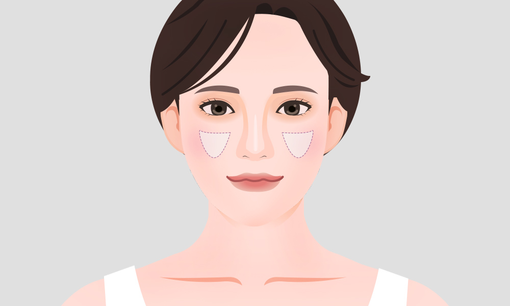 모델