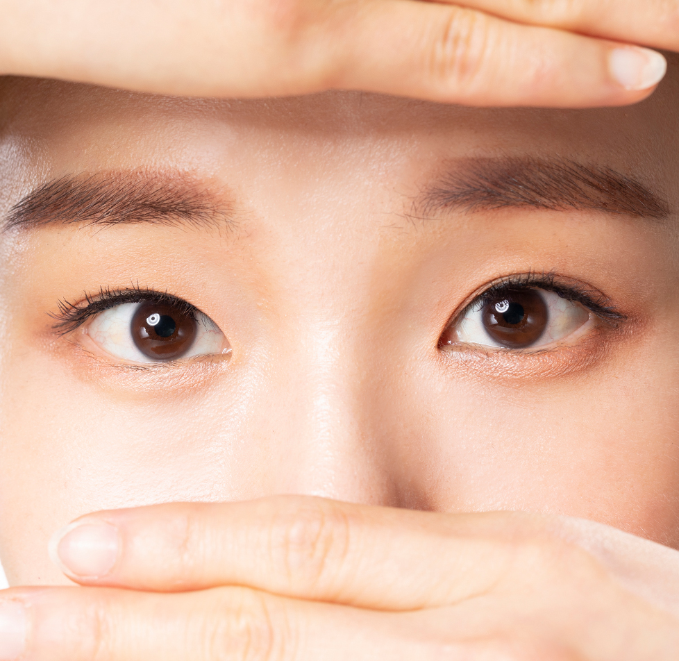 모델