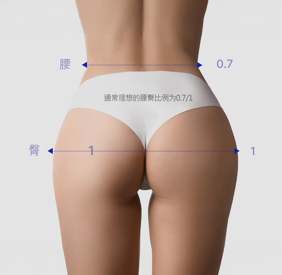 모델