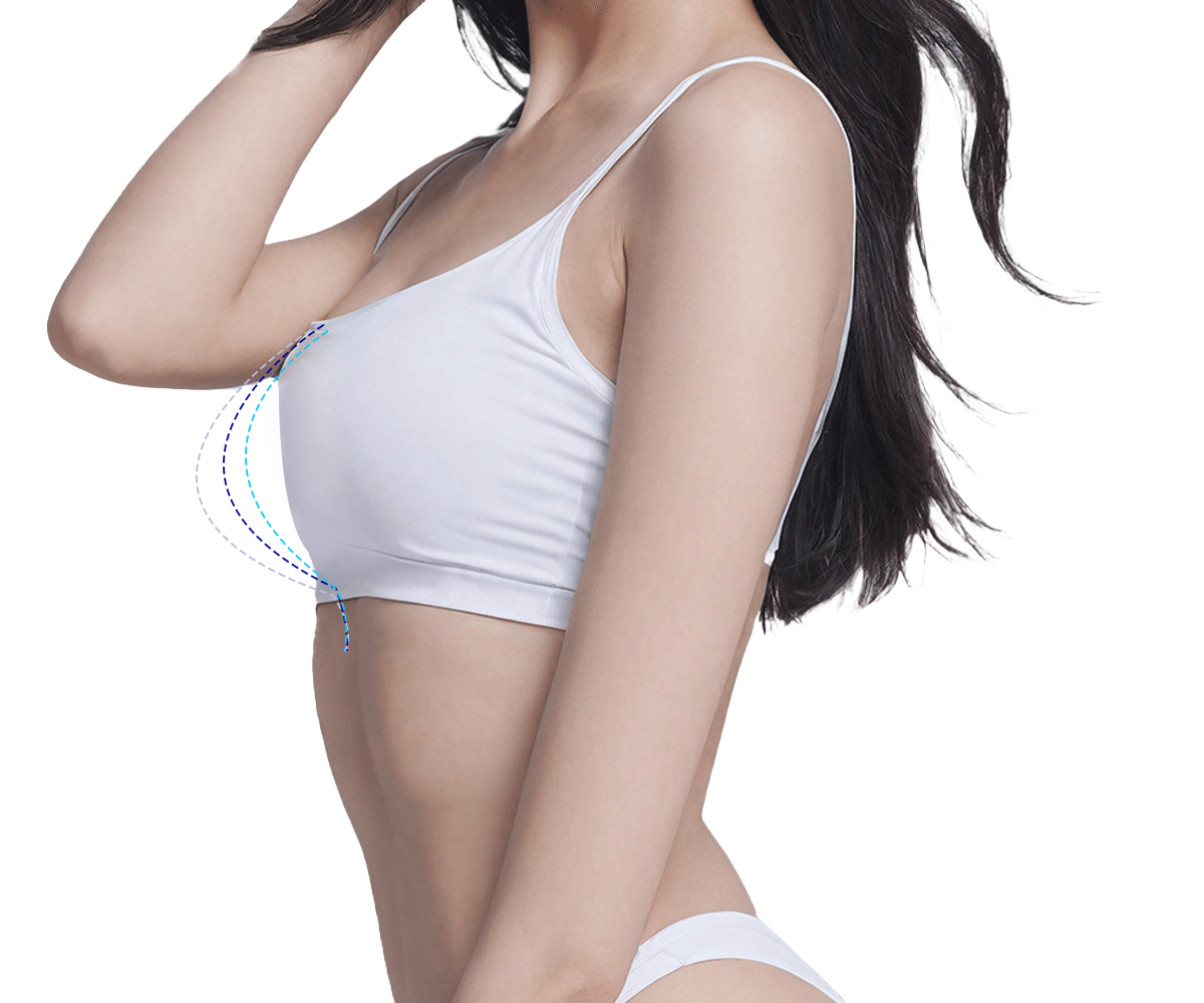 모델