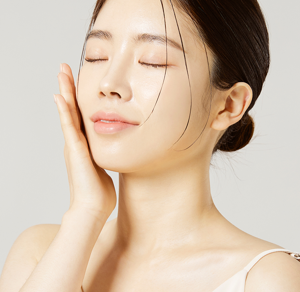 모델
