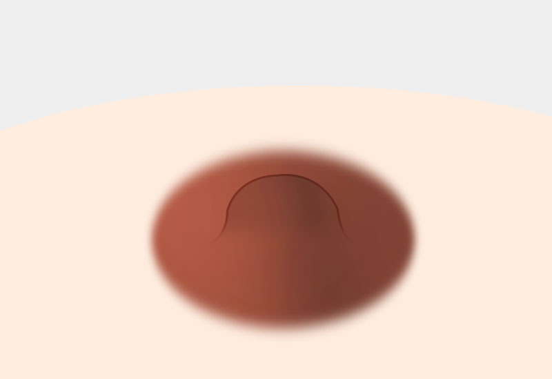 모델