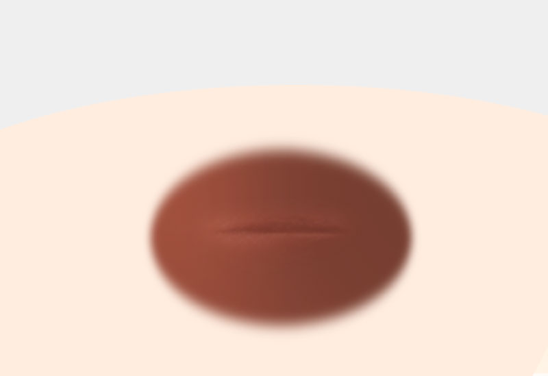 모델