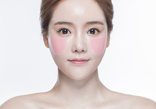모델