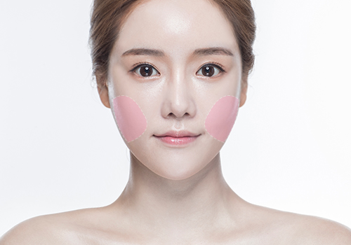 모델