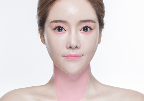 모델