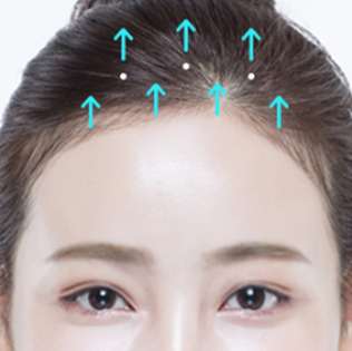 모델
