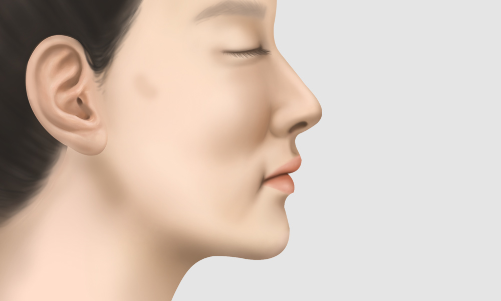 모델