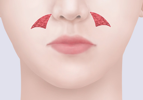 모델