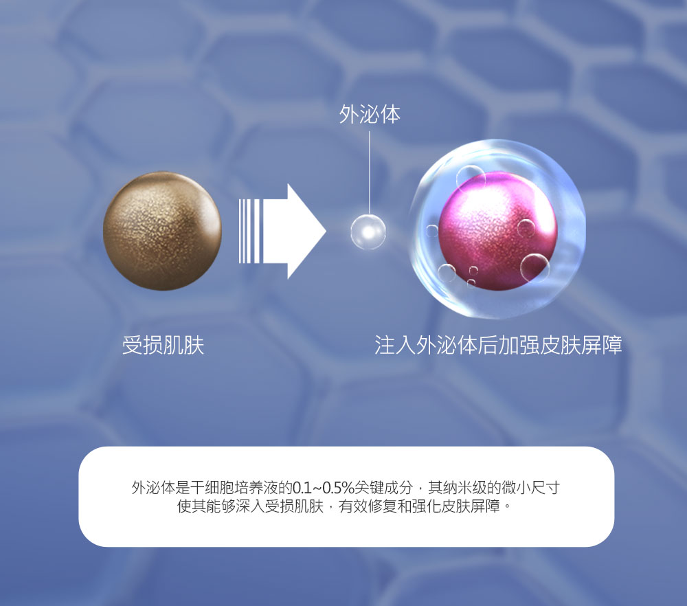 모델