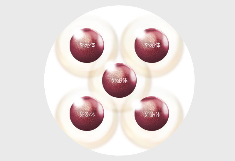 모델