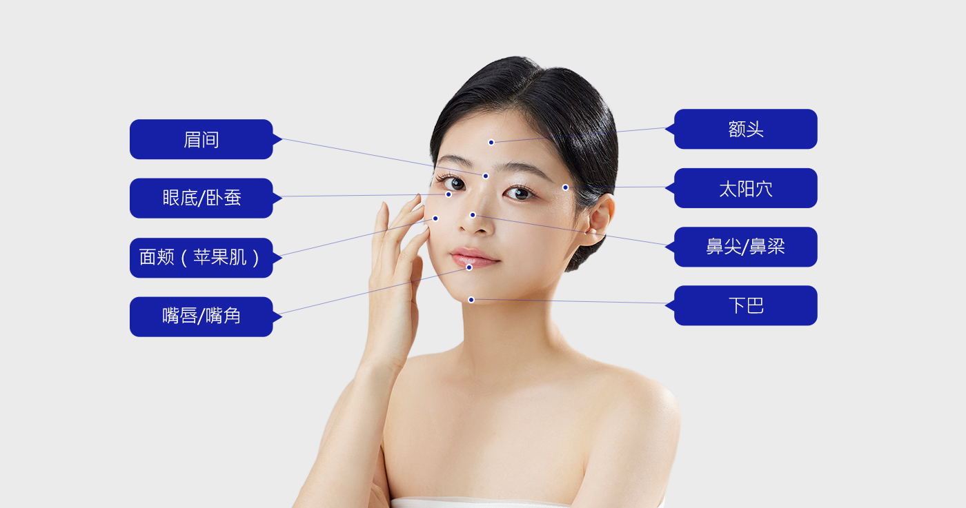 모델