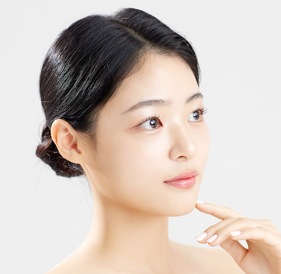 모델