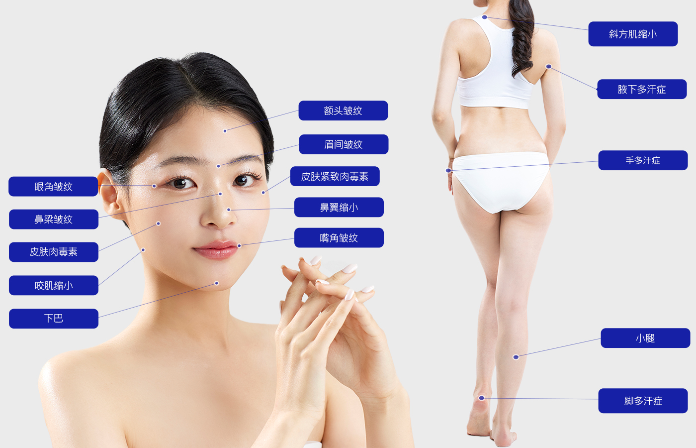 모델