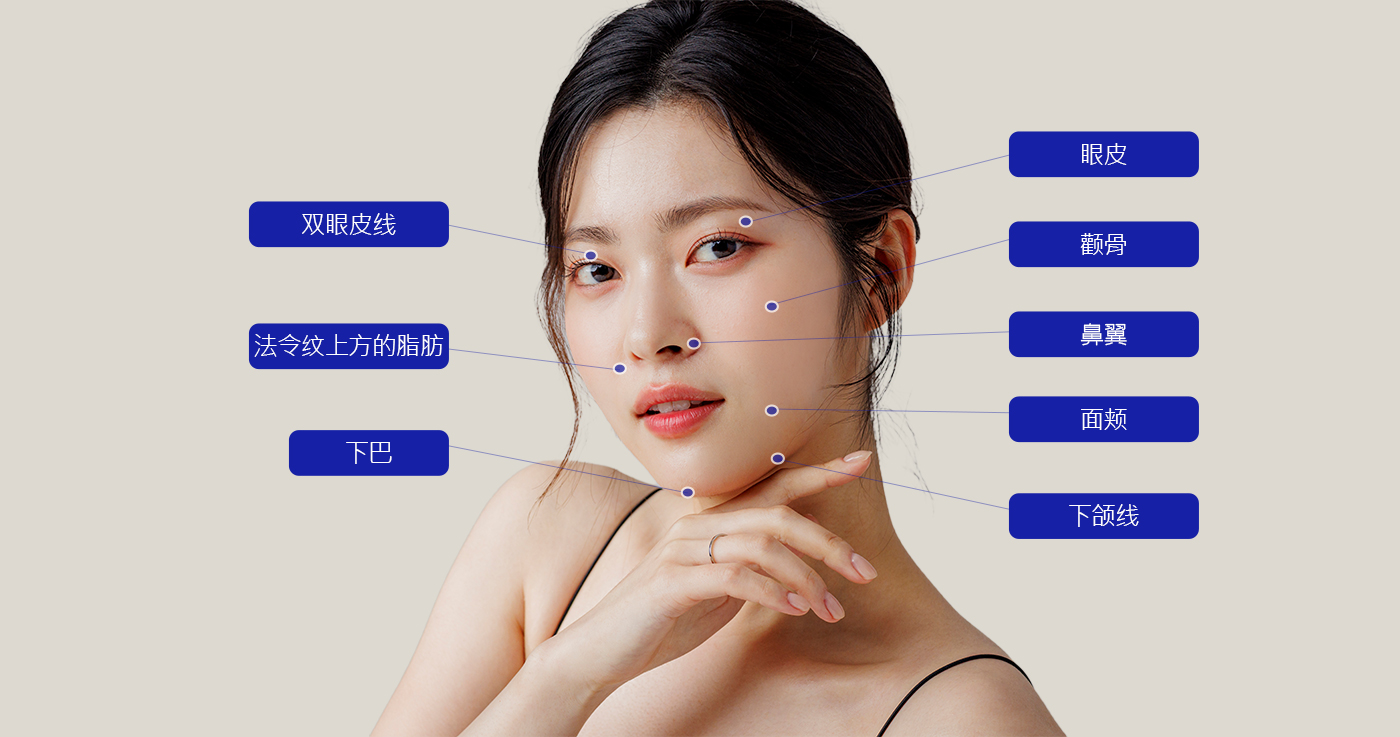 모델
