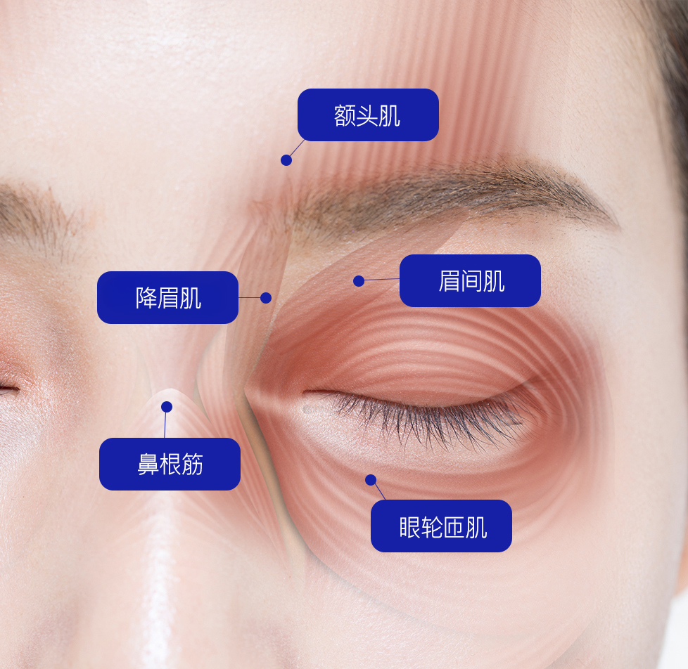 모델