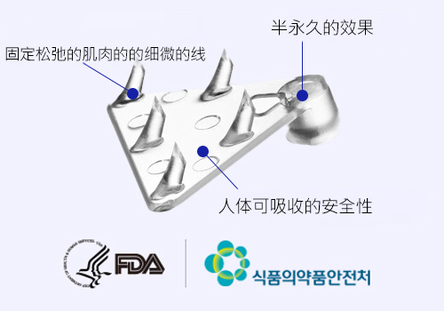 모델