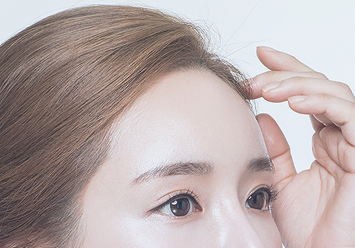 모델