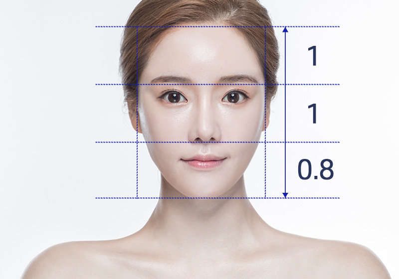 모델
