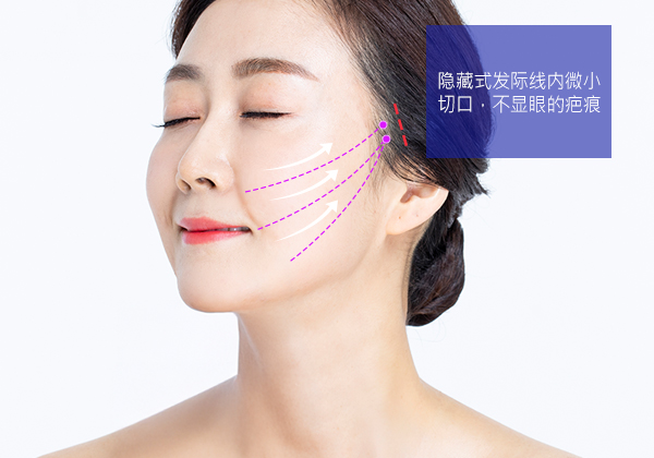 모델