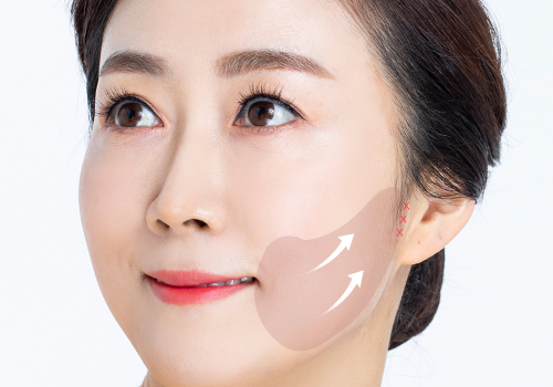 모델