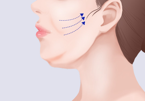 모델