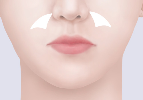 모델