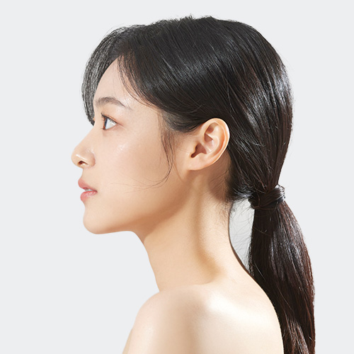 모델